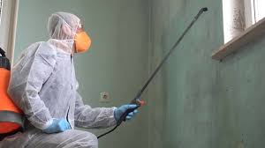 Best Mold Remediation for Healthcare Facilities  in Broadmoor, CA