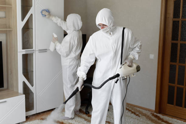 Why You Should Choose Our Mold Remediation Services in Broadmoor, CA