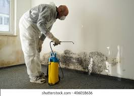  Broadmoor, CA Mold Prevention & Removal Pros